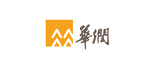 技术实力